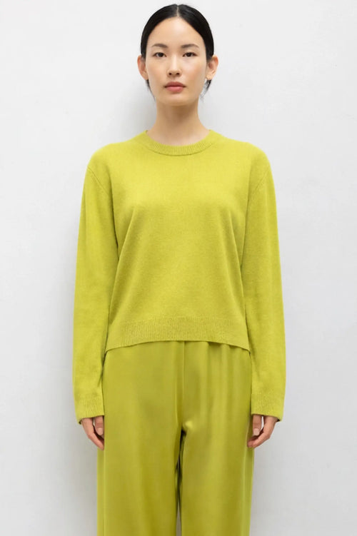Jesse Classic Crew - Chartreuse - Image 1