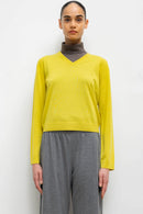 #color_citron