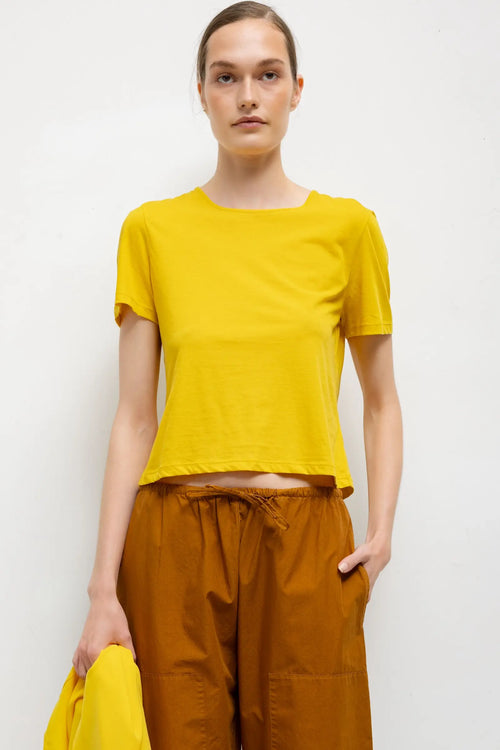 Milo Tee - Daffodil - Image 1